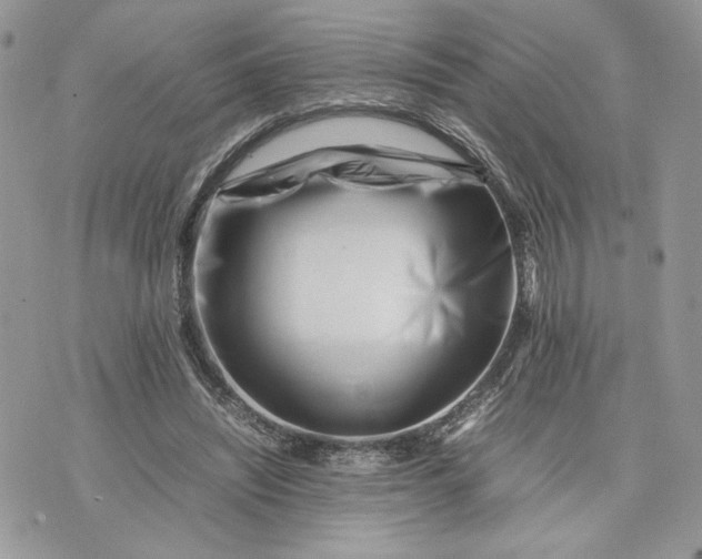 X0000075360444200609291505