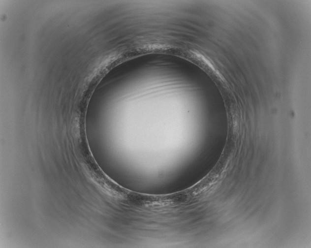 X0000075360447200609291505