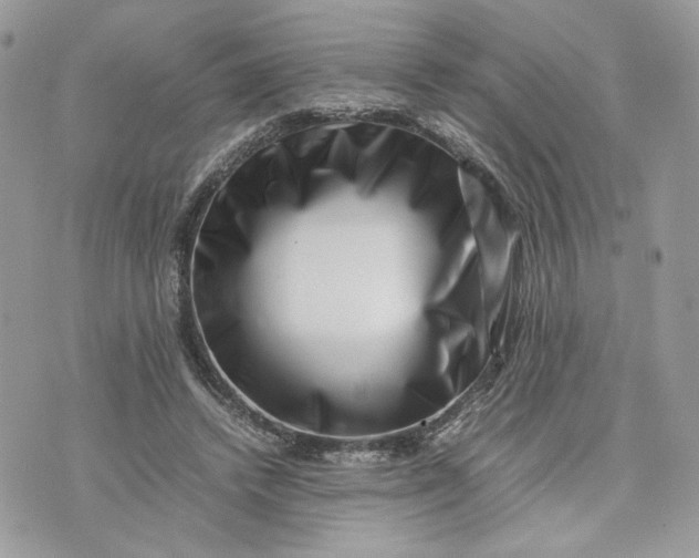 X0000075360448200609291505