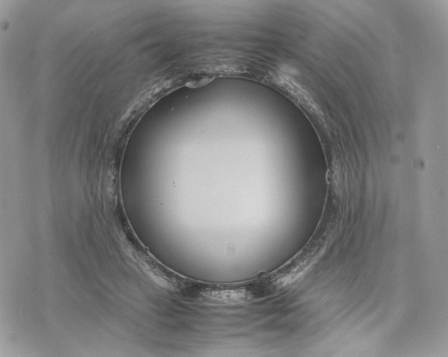 X0000075360449200609291505