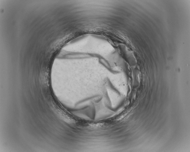 X0000075360450200609291505