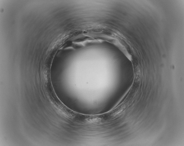 X0000075360452200609291505