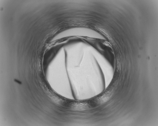 X0000075360453200609291505