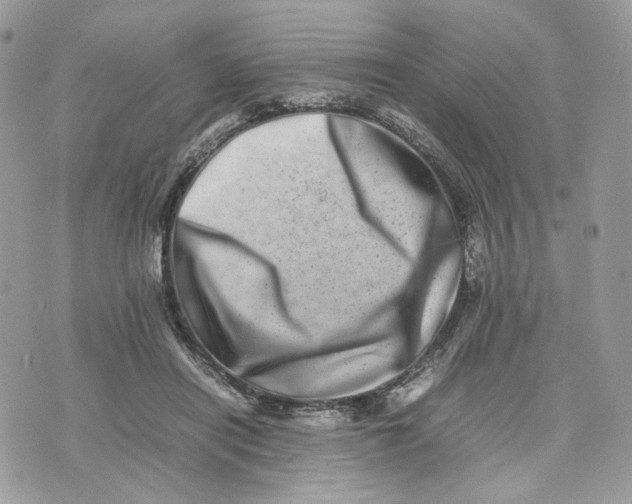 X0000075360454200609291505