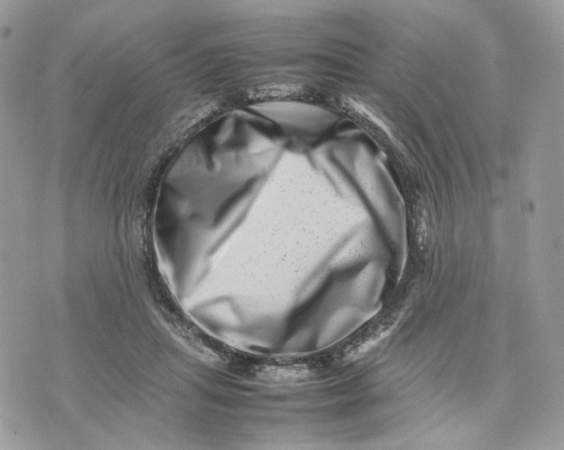 X0000075360455200609291505