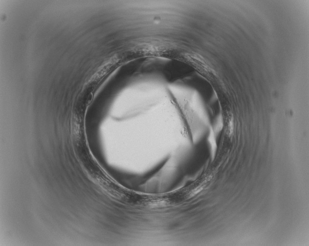 X0000075360456200609291505