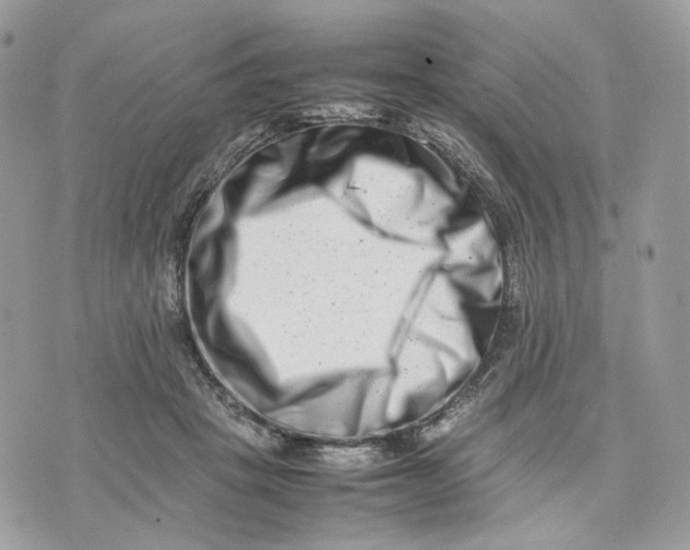 X0000075360457200609291505