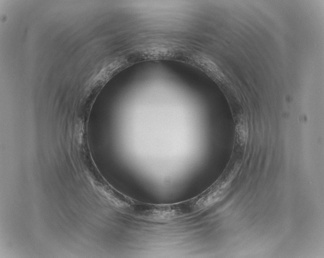 X0000075360458200609291505