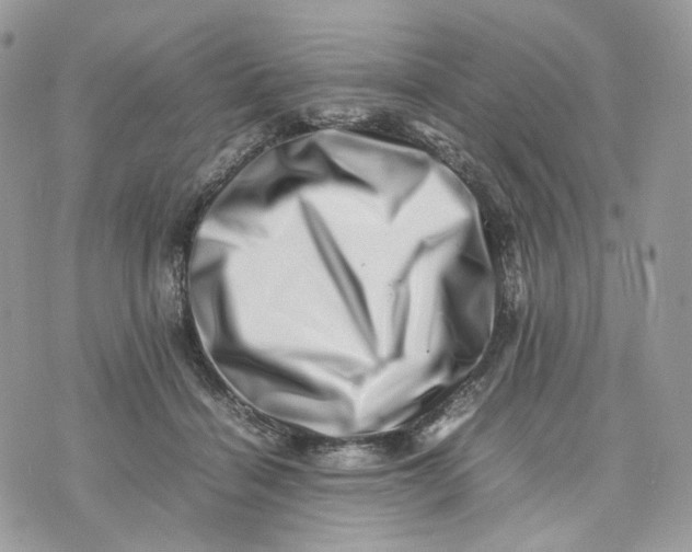 X0000075360460200609291505