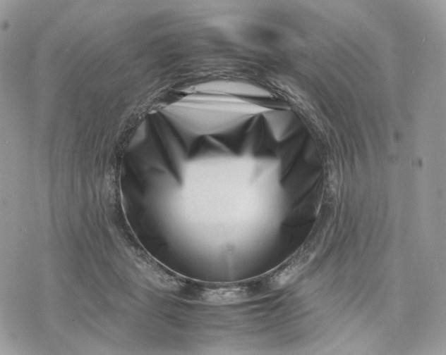 X0000075360461200609291505