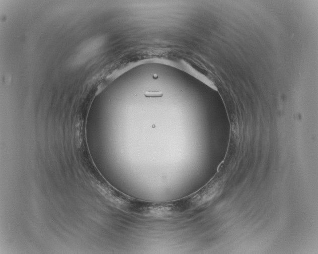 X0000075360462200609291505