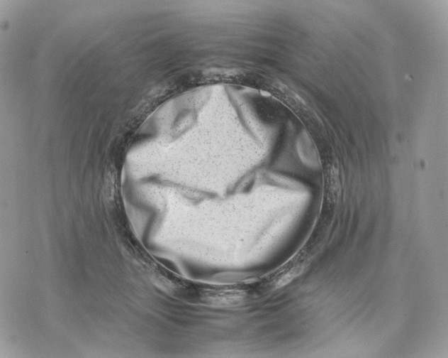 X0000075360463200609291505