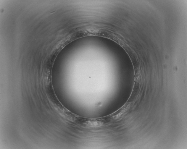 X0000075360464200609291505