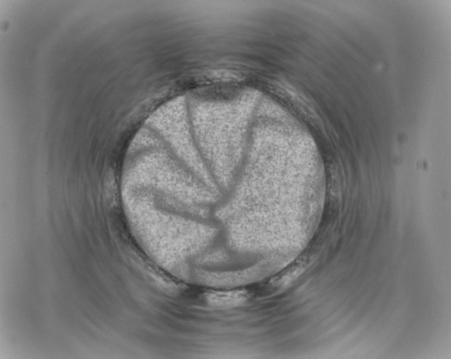 X0000075360465200609291505