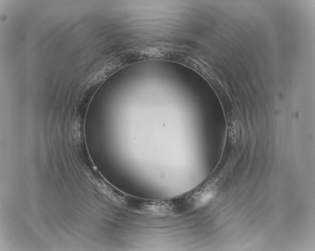 X0000075360466200609291505