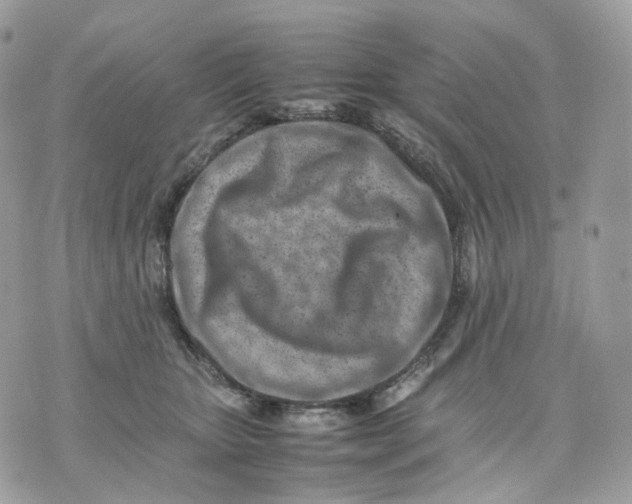 X0000075360467200609291505