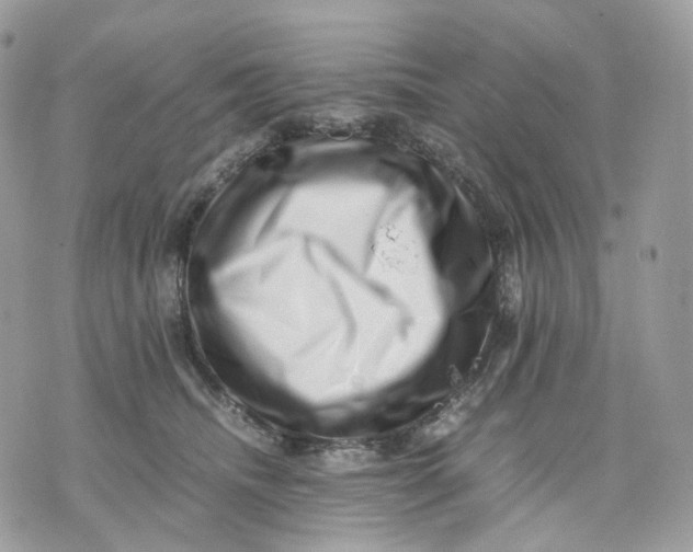 X0000075360468200609291505