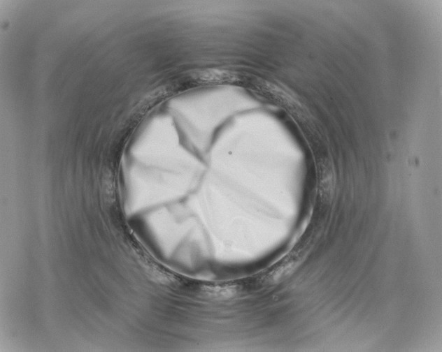 X0000075360469200609291505