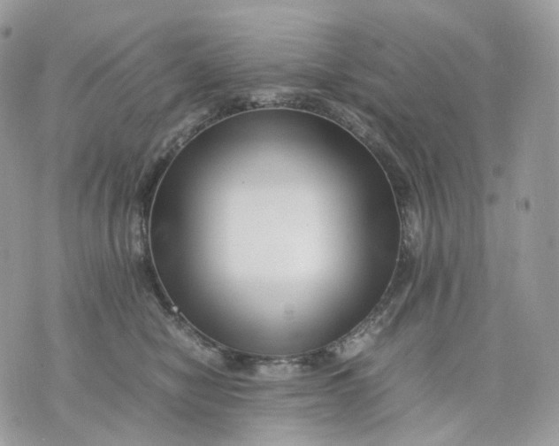 X0000075360470200609291505