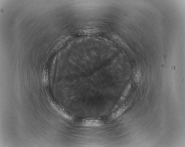 X0000075360471200609291505