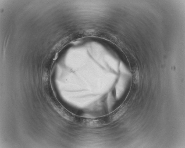 X0000075360472200609291505