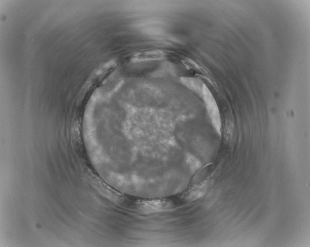 X0000075360473200609291505