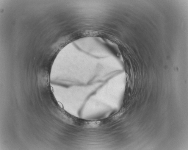 X0000075360474200609291505