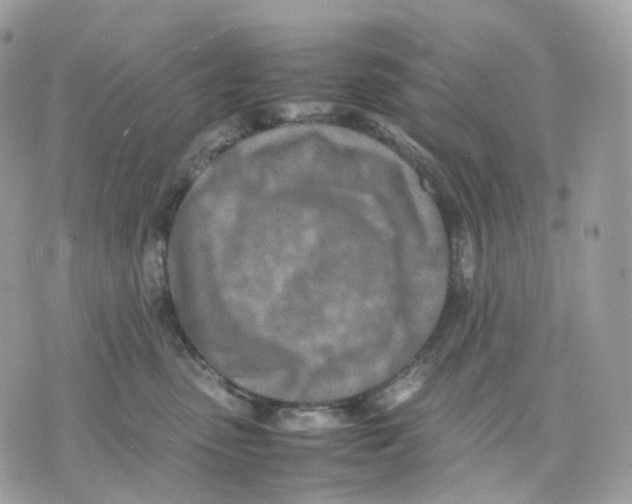 X0000075360475200609291505