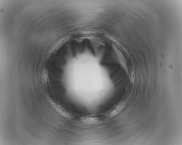 X0000075360476200609291505