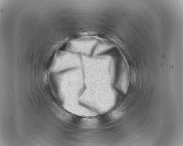 X0000075360477200609291505