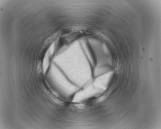 X0000075360478200609291505