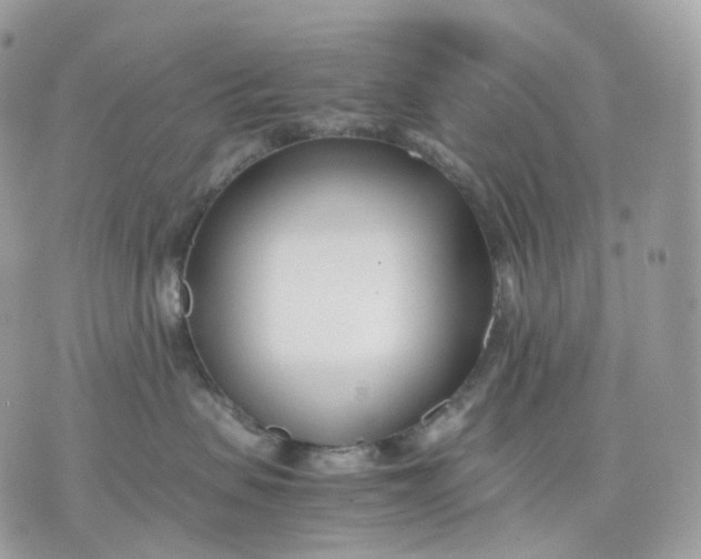 X0000075360479200609291505