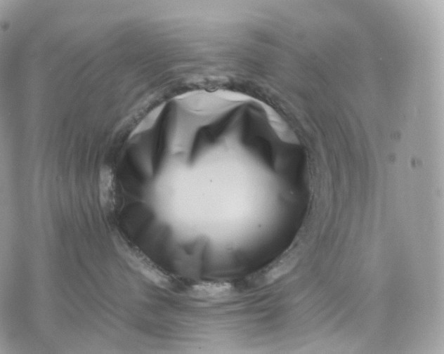 X0000075360480200609291505