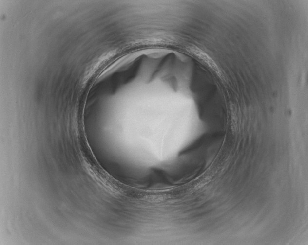 X0000075360482200609291505