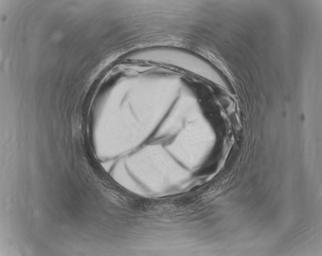 X0000075360483200609291505