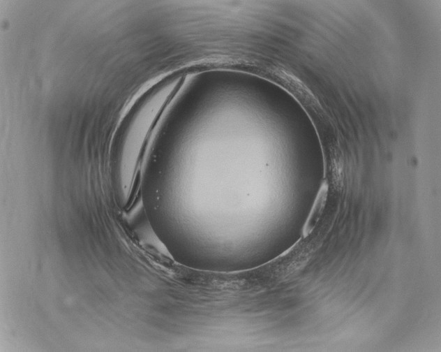 X0000075360484200609291505