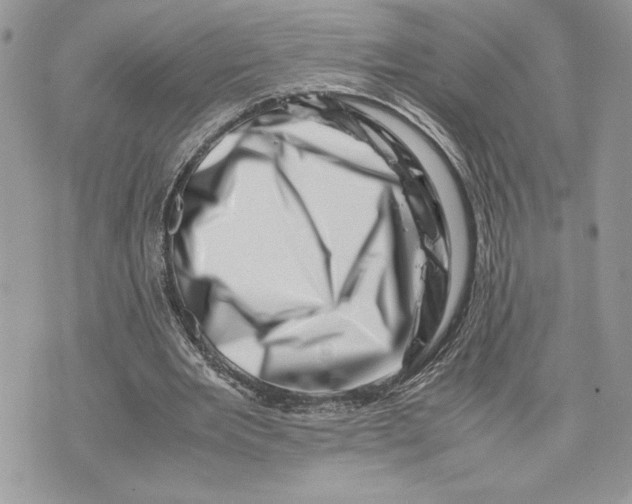 X0000075360485200609291505