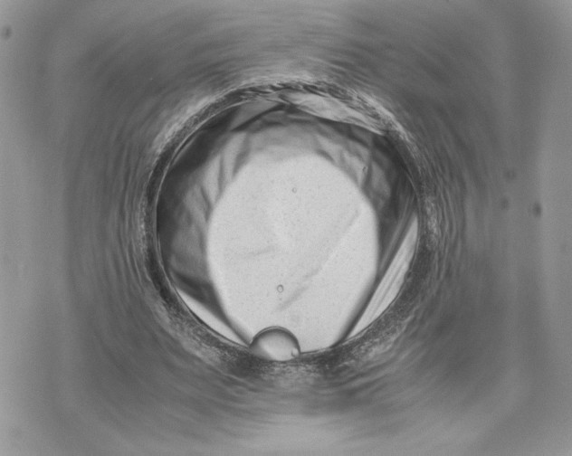 X0000075360487200609291504