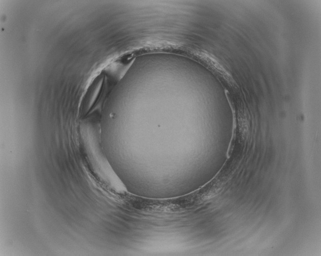 X0000075360488200609291504