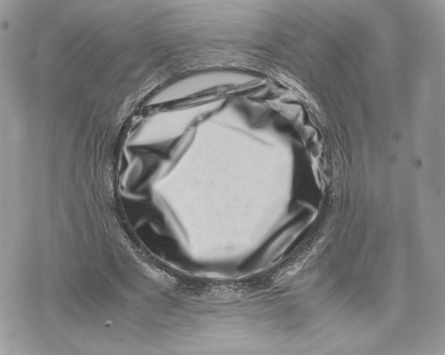 X0000075360489200609291504