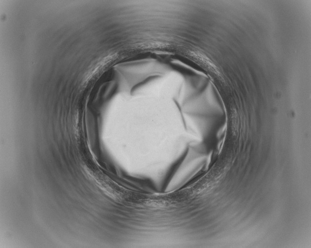 X0000075360490200609291504