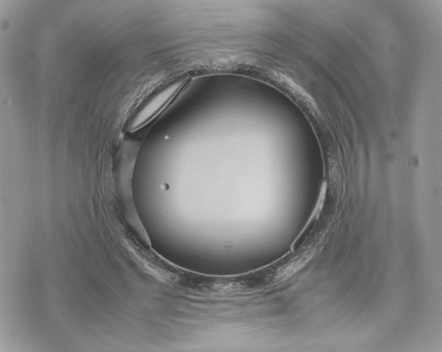 X0000075360493200609291504