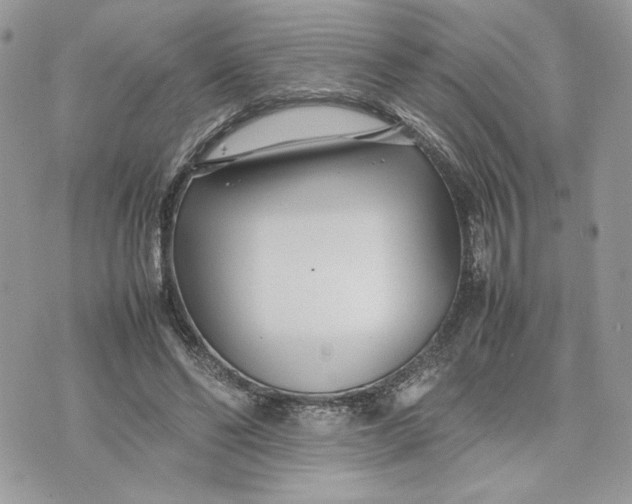 X0000075360494200609291504