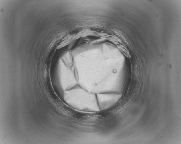 X0000075360495200609291504