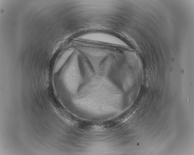 X0000075360496200609291504