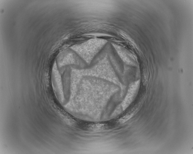 X0000075360497200609291504