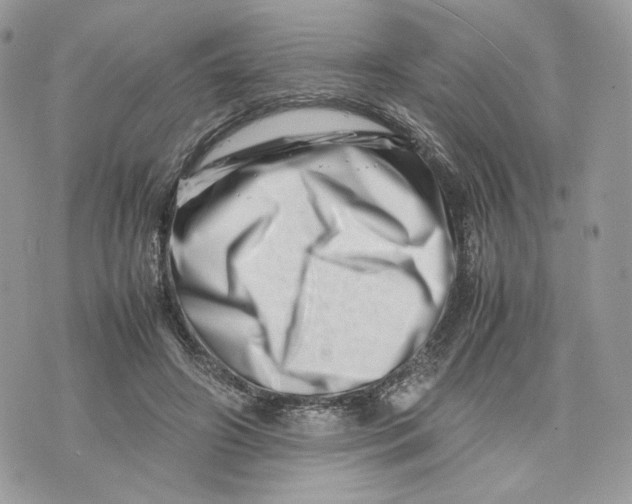 X0000075360498200609291504