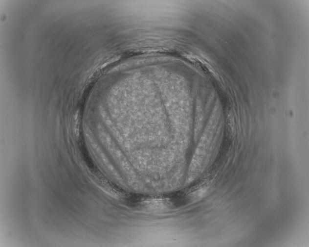 X0000075360499200609291504