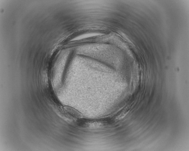 X0000075360500200609291504