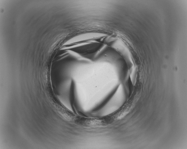 X0000075360501200609291504